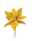 ART. 7114C