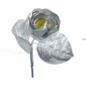 ART. 7038