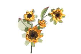 ART. 7050